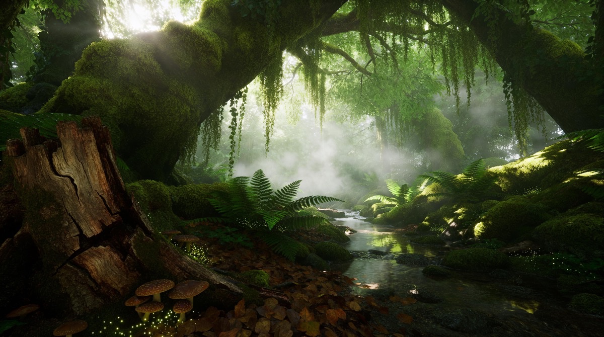 Enchanted forest with moss and ferns